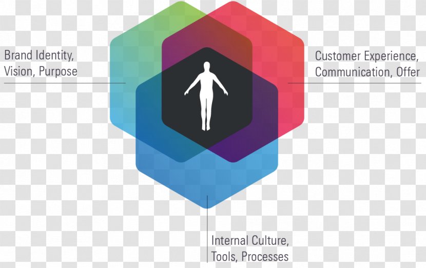 Logo Human-centered Design Brand Business User-centered Transparent PNG