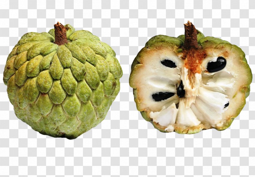 Sugar Apple Cherimoya Sugar-apple Fruit - Pawpaw - Tropical Transparent PNG