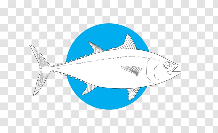 Shark Bony Fishes Marine Biology Salt Water Sportsman - Fish - Tuna Transparent PNG