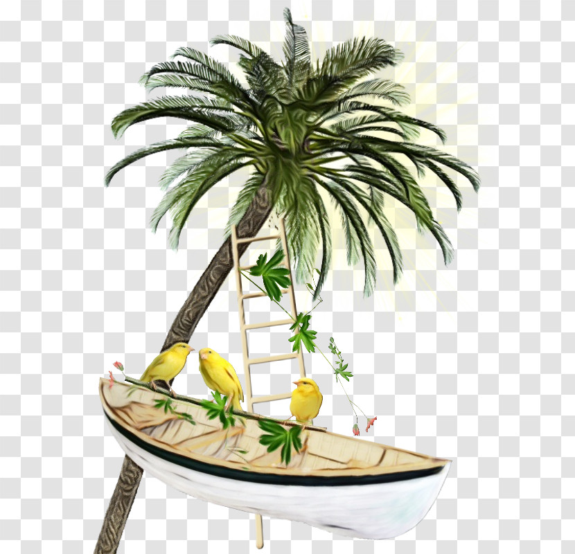 Palm Tree Transparent PNG