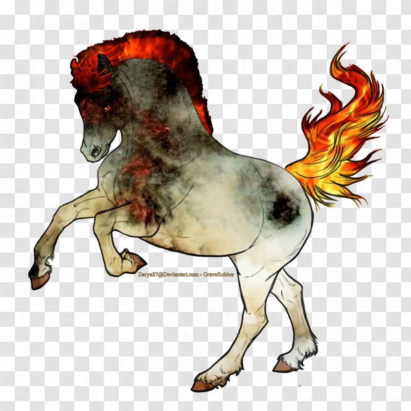Mane Mustang Pony Stallion Pack Animal - Horse - Quarter Transparent PNG