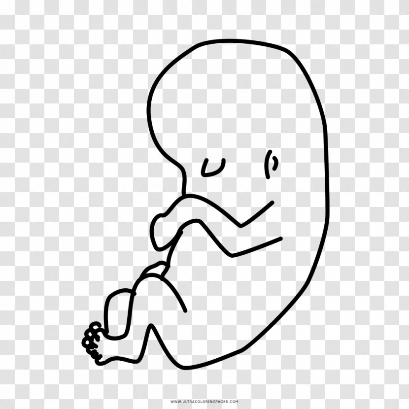 Drawing Coloring Book Thumb Child Fetus - Tree Transparent PNG