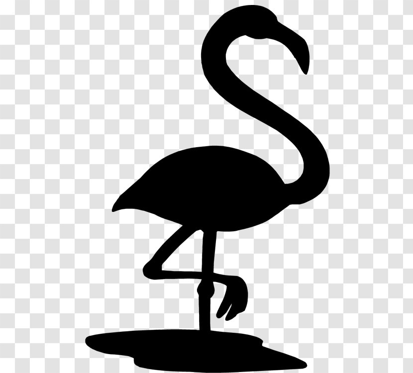 Swans Beak Goose Bird Ducks Transparent PNG