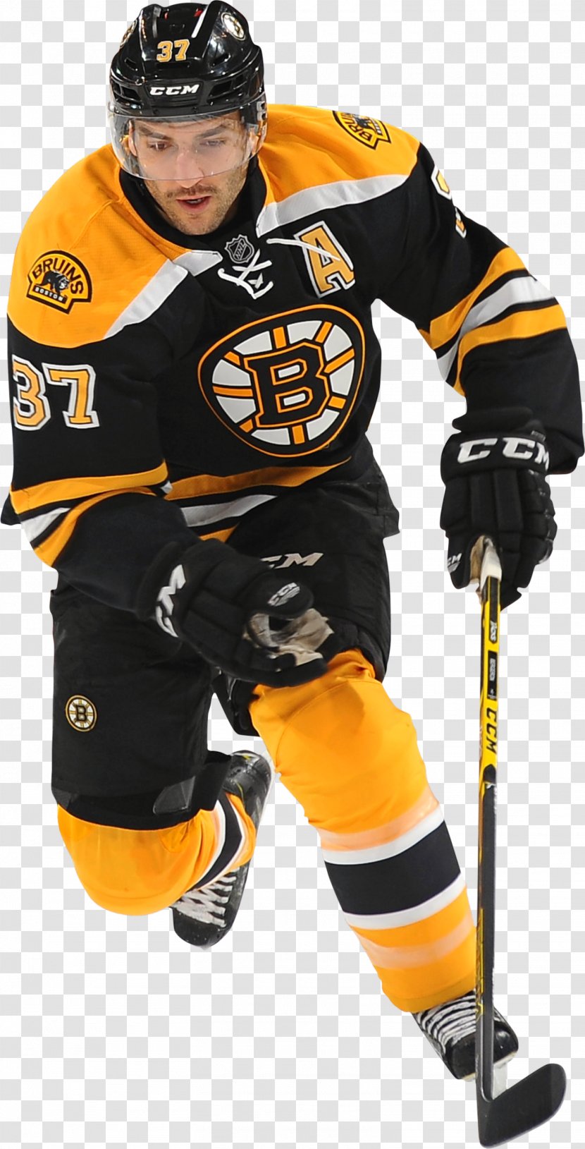 Patrice Bergeron Boston Bruins College Ice Hockey Goaltender Mask - Bear Transparent PNG
