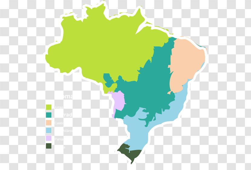 Brazil Map - Vector Transparent PNG