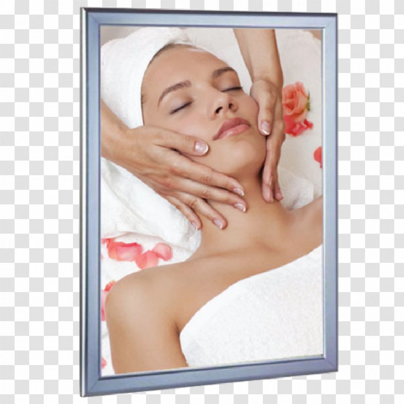 Beauty Parlour Facial Waxing Cosmetics Face - Chin Transparent PNG