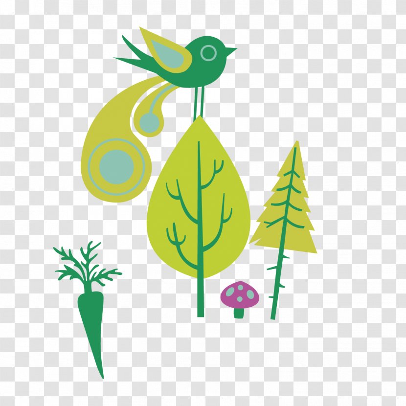 Green Bird Clip Art - Vertebrate - Cartoon Vector Transparent PNG