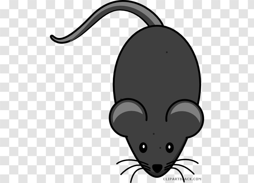 Computer Mouse Clip Art Openclipart Free Content Mickey - Tail Transparent PNG
