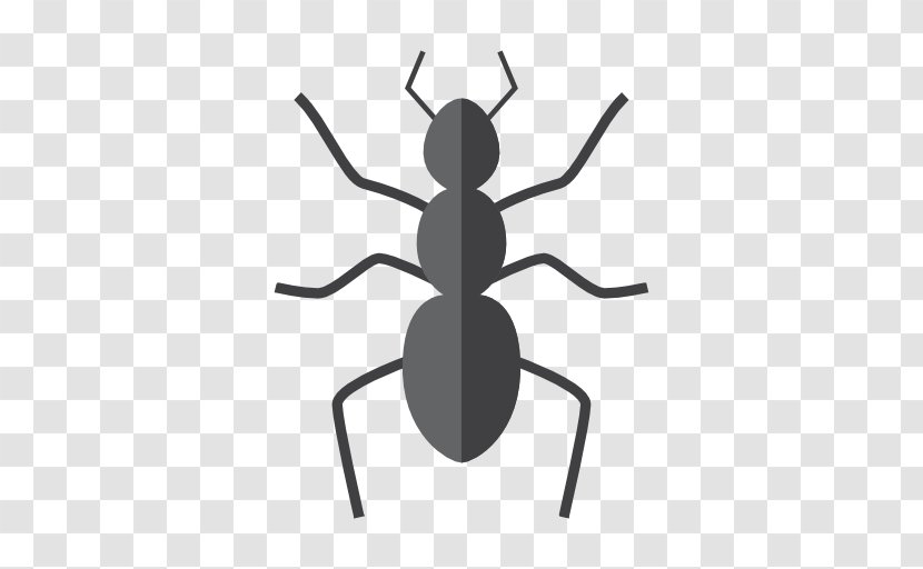 Ant Insect Pest Control Emoji - Arthropod Transparent PNG