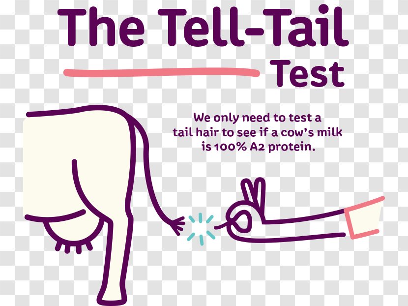 A2 Milk The Tempest Cattle Telford - Flower Transparent PNG