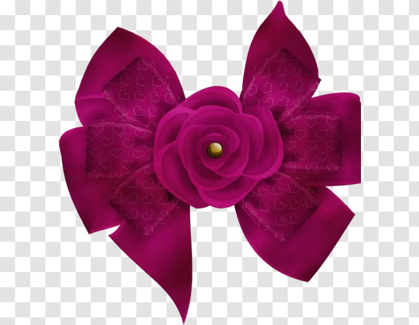 Violet Pink Purple Petal Magenta - Plant - Headband Transparent PNG