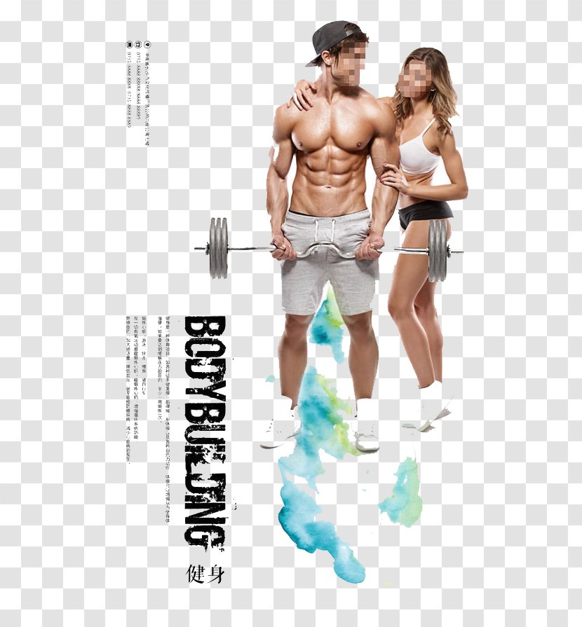 Physical Fitness Exercise Centre Bodybuilding Weight Training - Frame Transparent PNG