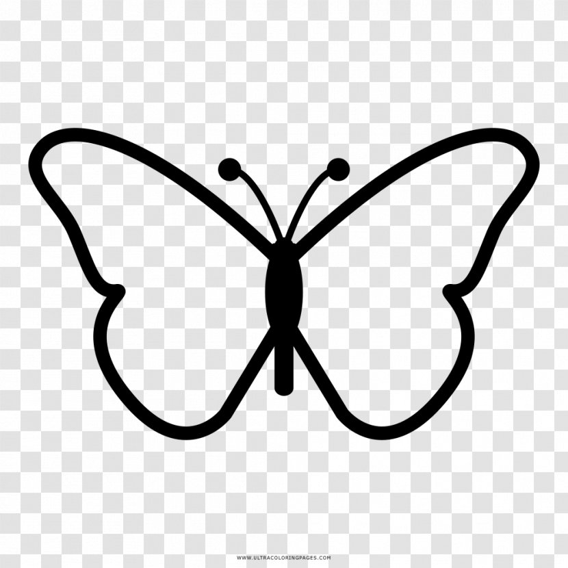 Monarch Butterfly Drawing Clip Art - Symmetry Transparent PNG