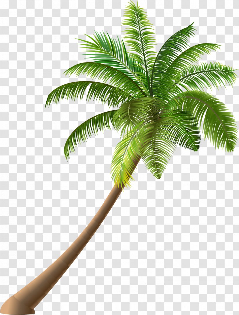 Cartoon Summer Royalty-free Illustration - Arecales - Green Simple Coconut Trees Transparent PNG