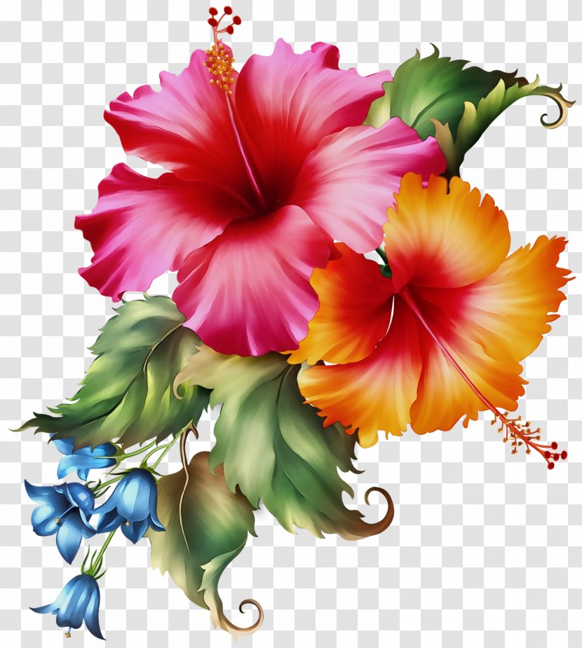 Watercolor Pink Flowers - Petal - Artificial Flower Morning Glory Transparent PNG