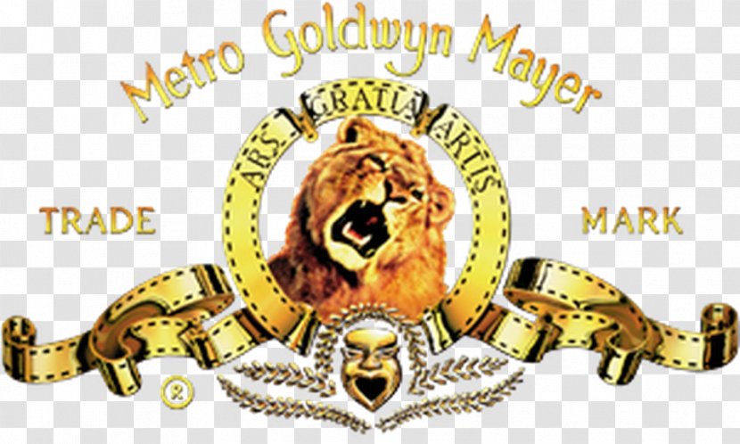 Leo The Lion Metro-Goldwyn-Mayer Film - Metrogoldwynmayer Transparent PNG