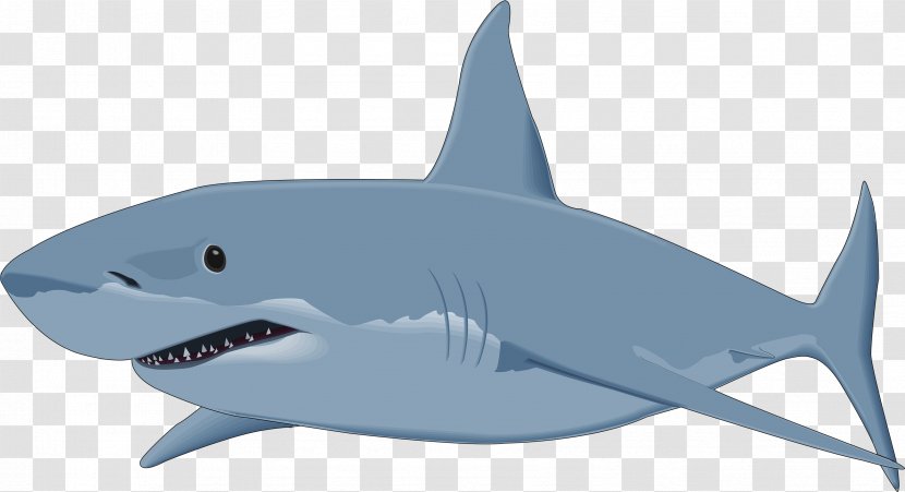 Great White Shark Background - Bull - Squaliformes Carcharhiniformes Transparent PNG
