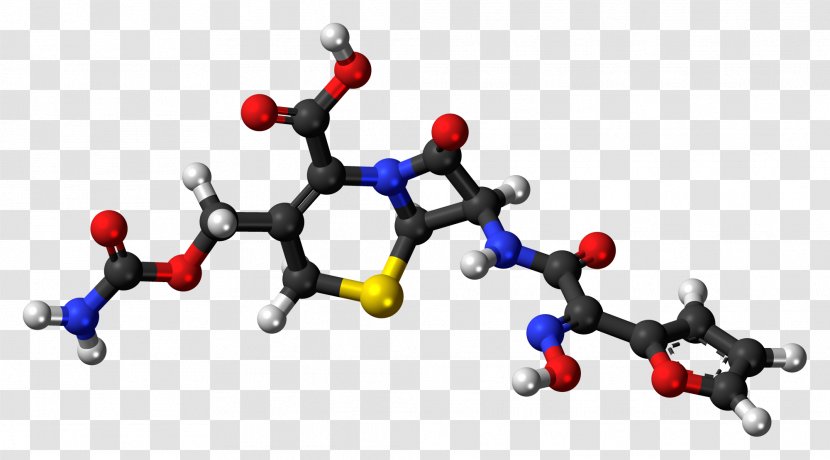 Cefuroxime Axetil Cephalosporin Adverse Effect Pharmaceutical Drug - Body Jewelry - Bone Cement Transparent PNG