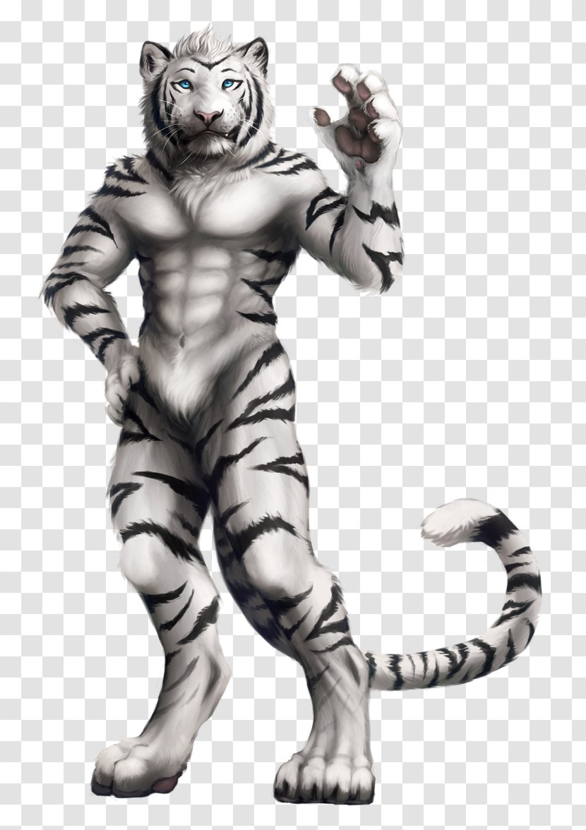 Tiger Big Cat Claw Puma Transparent PNG