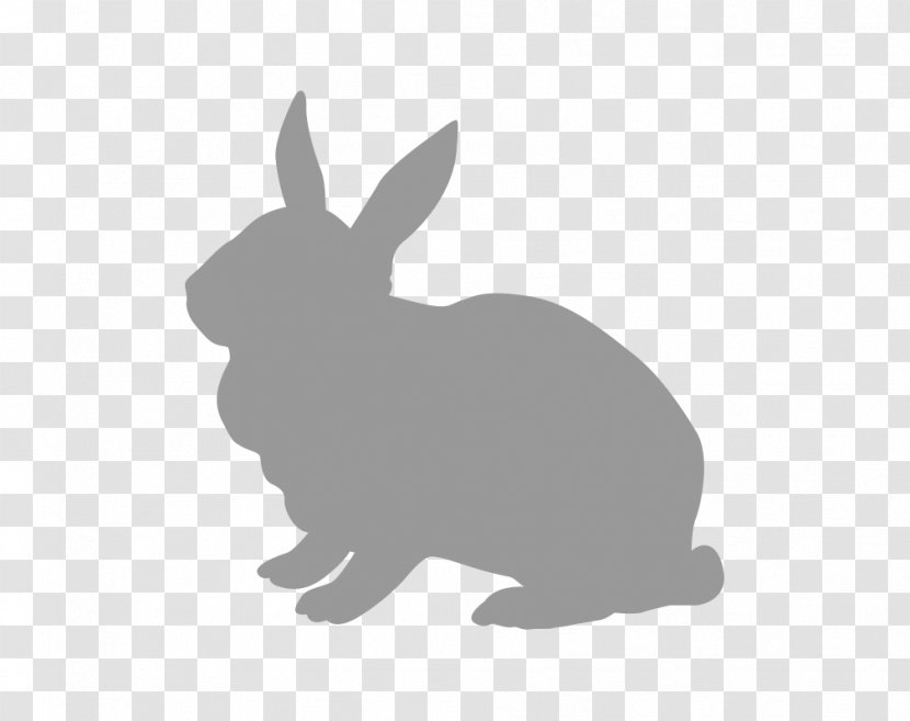Domestic Rabbit Hare Pet Food - Broccoli - Teeth Transparent PNG