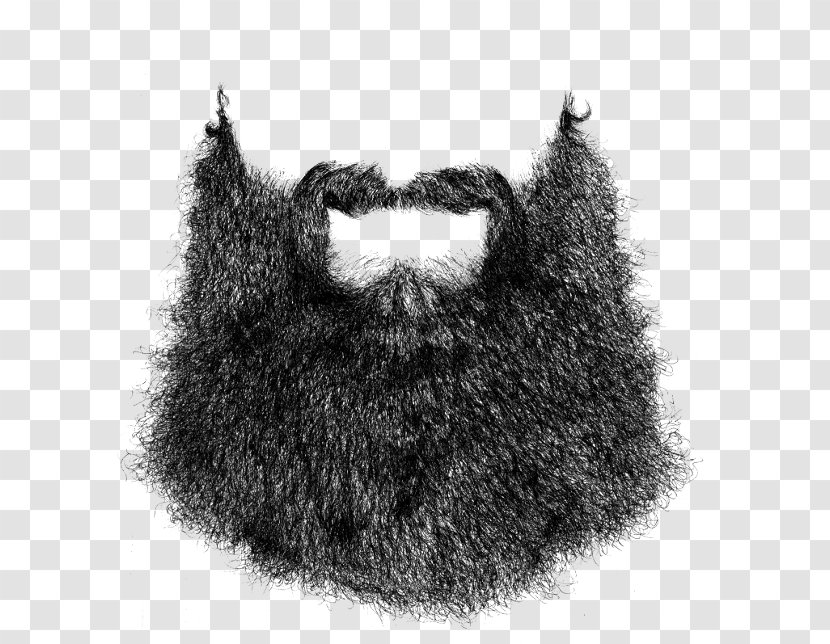 Blanket Beard T-shirt Man Facial Hair - World And Moustache Championships Transparent PNG