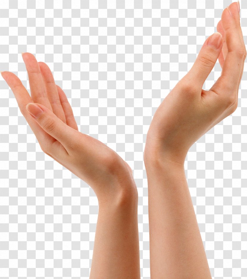Hand Forearm - Thumb - Hands 8 Transparent PNG