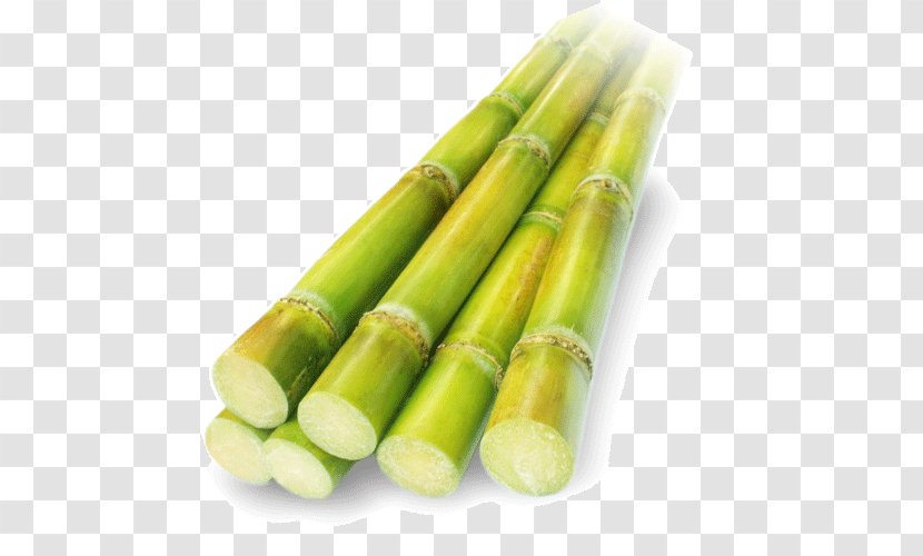 Sugarcane Vinegar Clip Art - Asparagus - Sugar Transparent PNG
