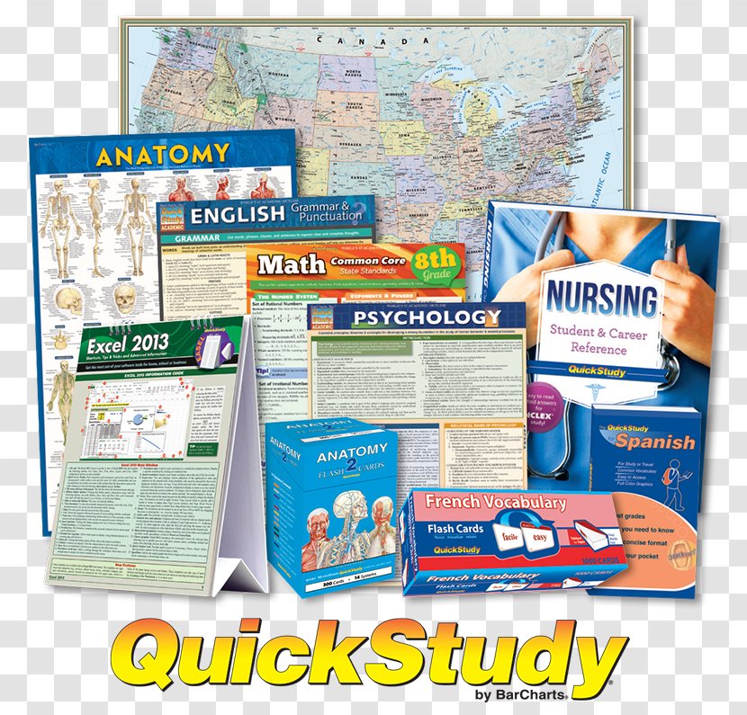 Study Skills Flashcard Information Anatomy Vocabulary - Mathematics - Quick Card Transparent PNG
