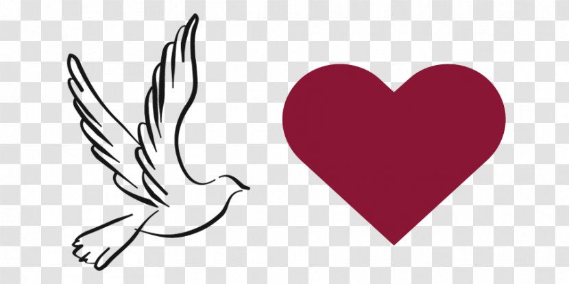 Columbidae Domestic Pigeon Tattoo Doves As Symbols - Frame - Symbol Transparent PNG