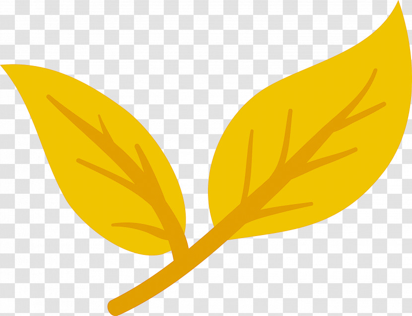 Meter Icon Leaf Computer Yellow Transparent PNG