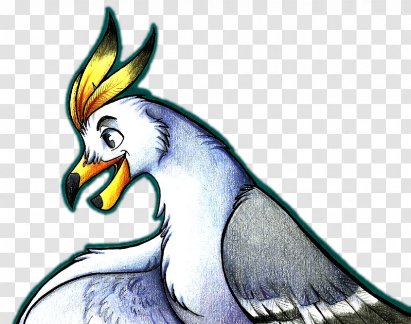 Parrot Bird Of Prey Illustration Beak - Cartoon - Seagull Feathers Transparent PNG