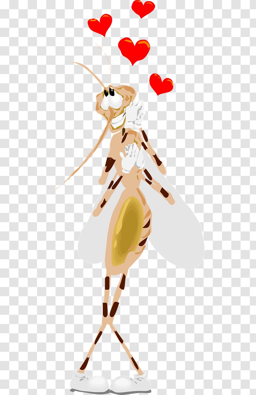 Marsh Mosquitoes Insect Yellow Fever Mosquito Fly Vector - Aedes - Happy Ant Transparent PNG