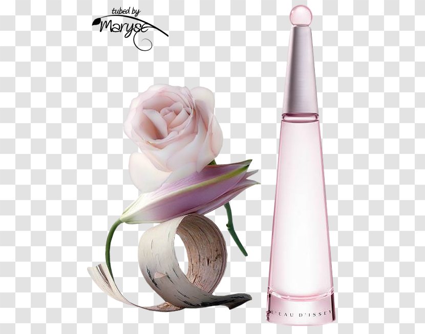 Perfume L'eau D'Issey Eau De Toilette Cosmetics Parfum - Beauty Transparent PNG