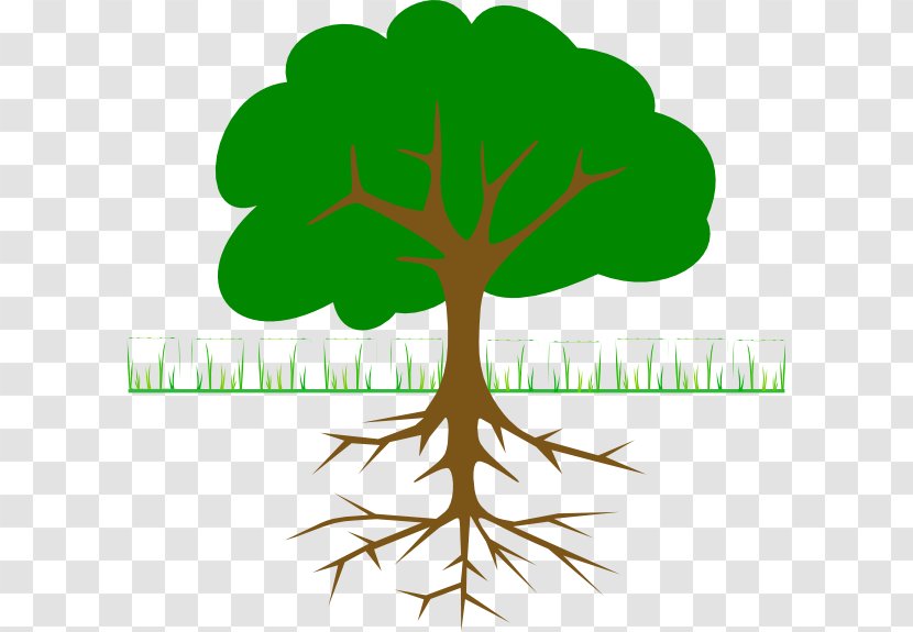 The Great Kapok Tree Root Clip Art - Plant - Cliparts Transparent PNG