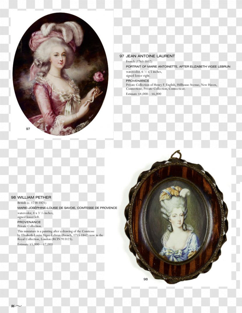 Portrait Of Marie Antoinette Artist Lot - Rosa 'comtesse De Provence' Transparent PNG