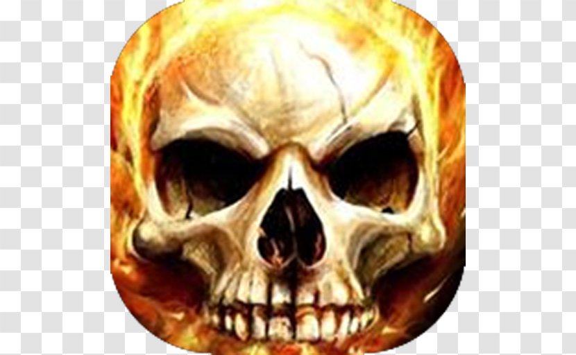 Human Skull Symbolism Desktop Wallpaper Fire Flame - Screensaver Transparent PNG