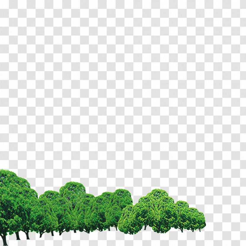 Image Design Watercolor Painting Forest - Plant - Leaf Transparent PNG