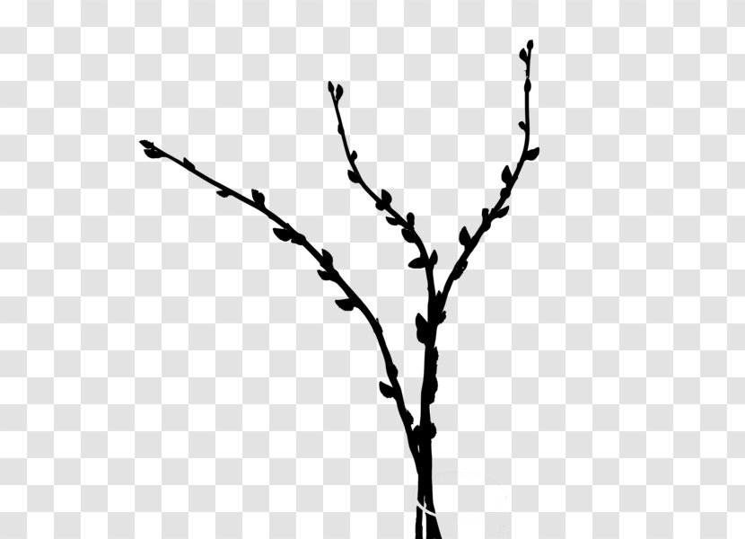 Twig Plant Stem Leaf Font Line - Woody - Tree Transparent PNG