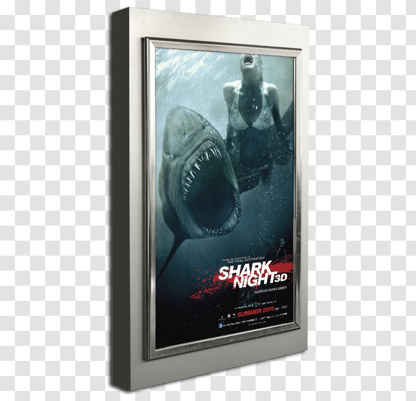 Film Poster Shark Cinema - Night - The Posters Murals Catering Transparent PNG