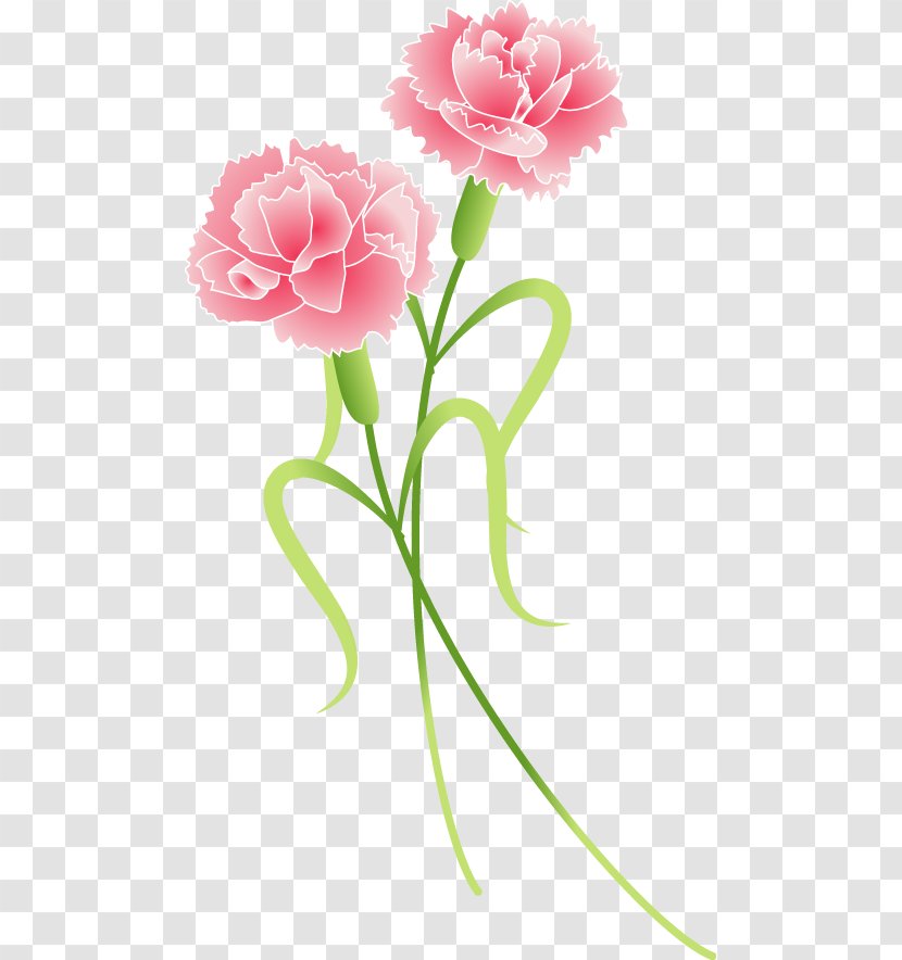 Child Mother's Day Blog Infant - Rose Family - Mother 's Carnations Transparent PNG