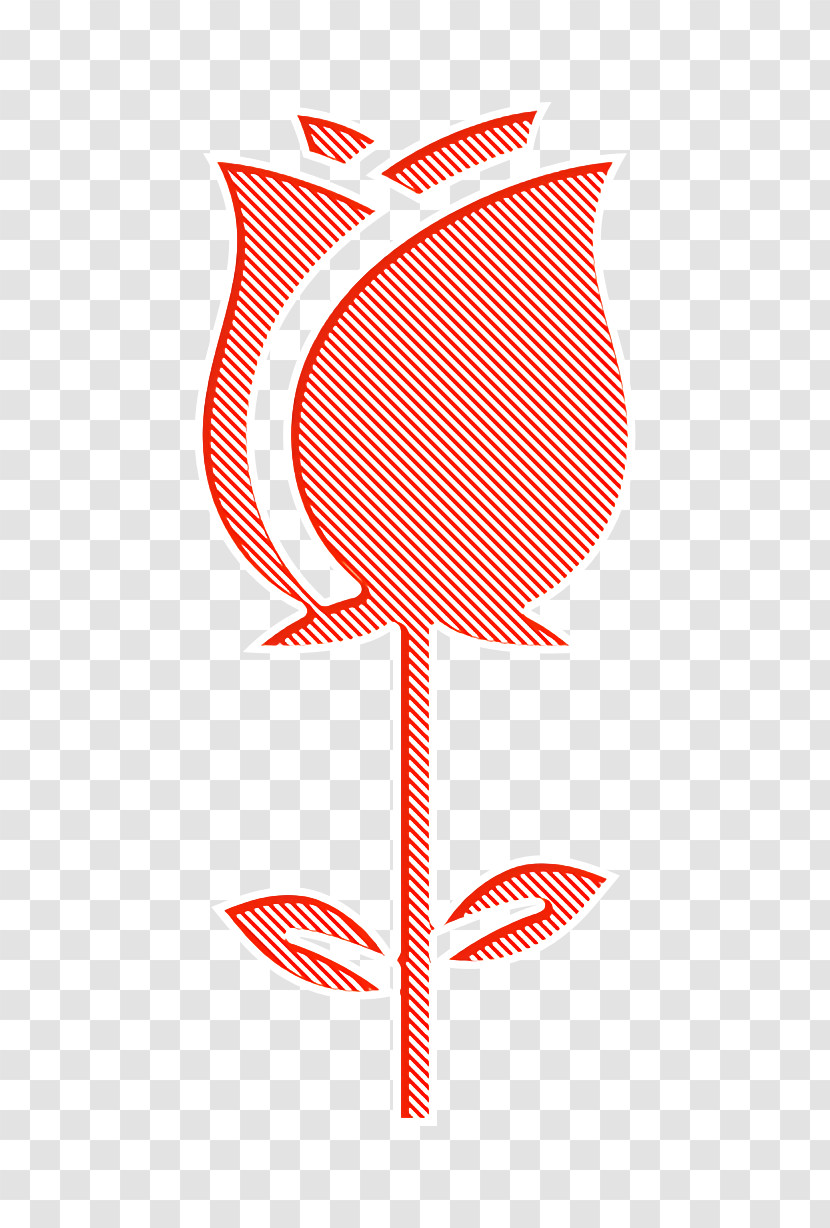 Rose Icon Blossoms Icon Flower Icon Transparent PNG