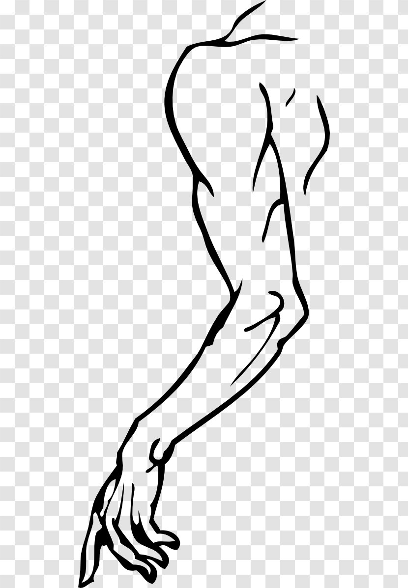 Arm Human Body Clip Art - Frame Transparent PNG