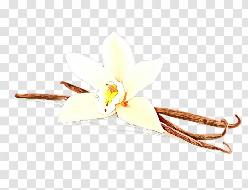 Vanilla Plant Flower Transparent PNG