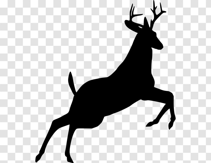 Christmas Santa Claus - Clauss Reindeer - Elk Antler Transparent PNG