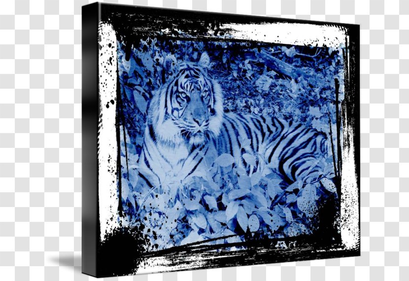 Tiger Big Cat Mammal Art - Cats - Print Transparent PNG
