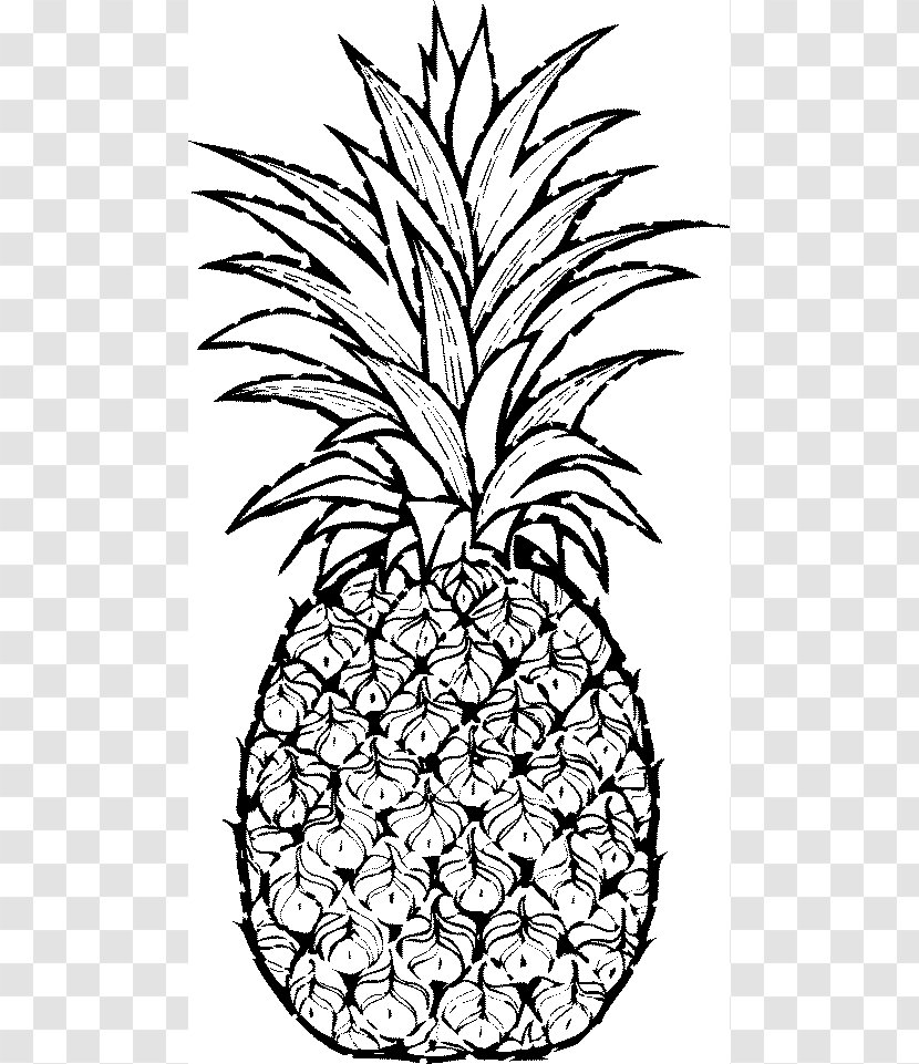 Pineapple Drawing Clip Art - Black And White - Cliparts Transparent PNG