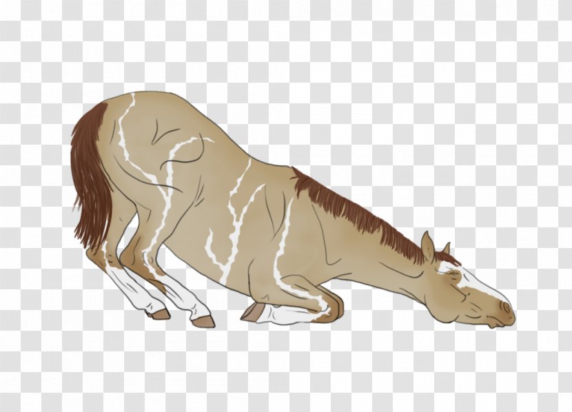 Carnivora Horse Cattle Mane Neck Transparent PNG