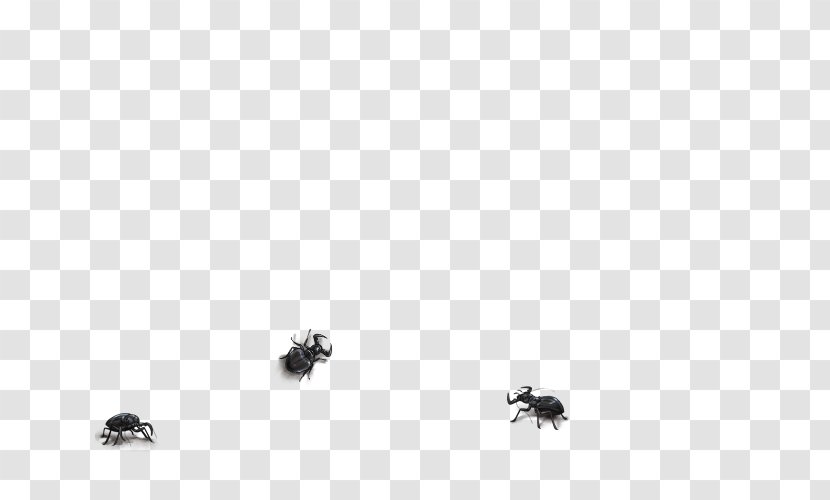Insect Desktop Wallpaper Pollinator Computer Font - Sky Plc Transparent PNG