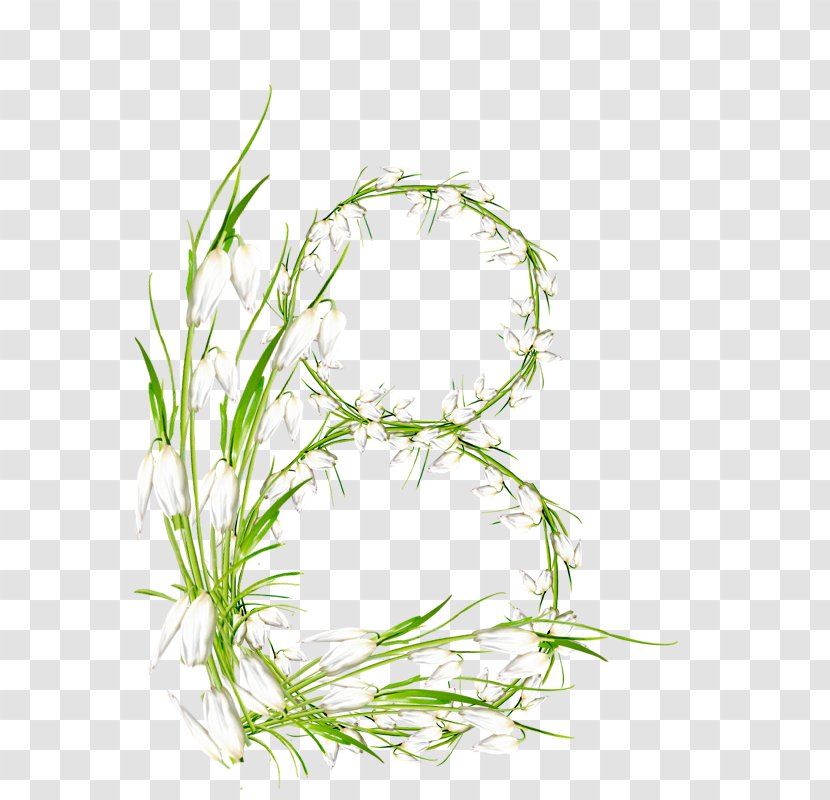 8 Creative Elegant Flowers Border Flora Transparent PNG