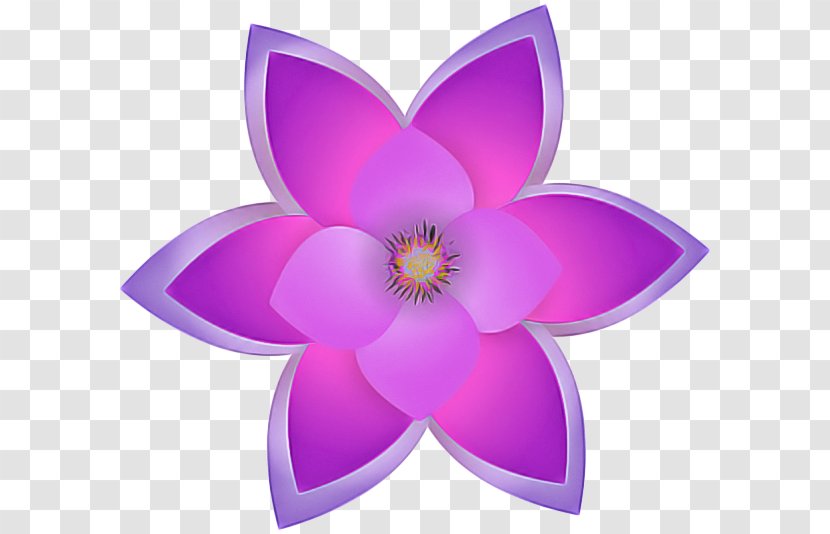 Pink Flower Cartoon - Flowering Plant - Crocus Herbaceous Transparent PNG
